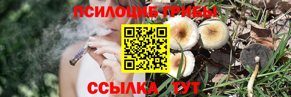 Псилоцибиновые грибы ЛСД  Псилоцибиновые грибы Magic Shrooms  Белебей  Вход с VPN 
